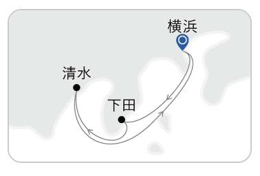 三井オーシャンサクラ　河津桜